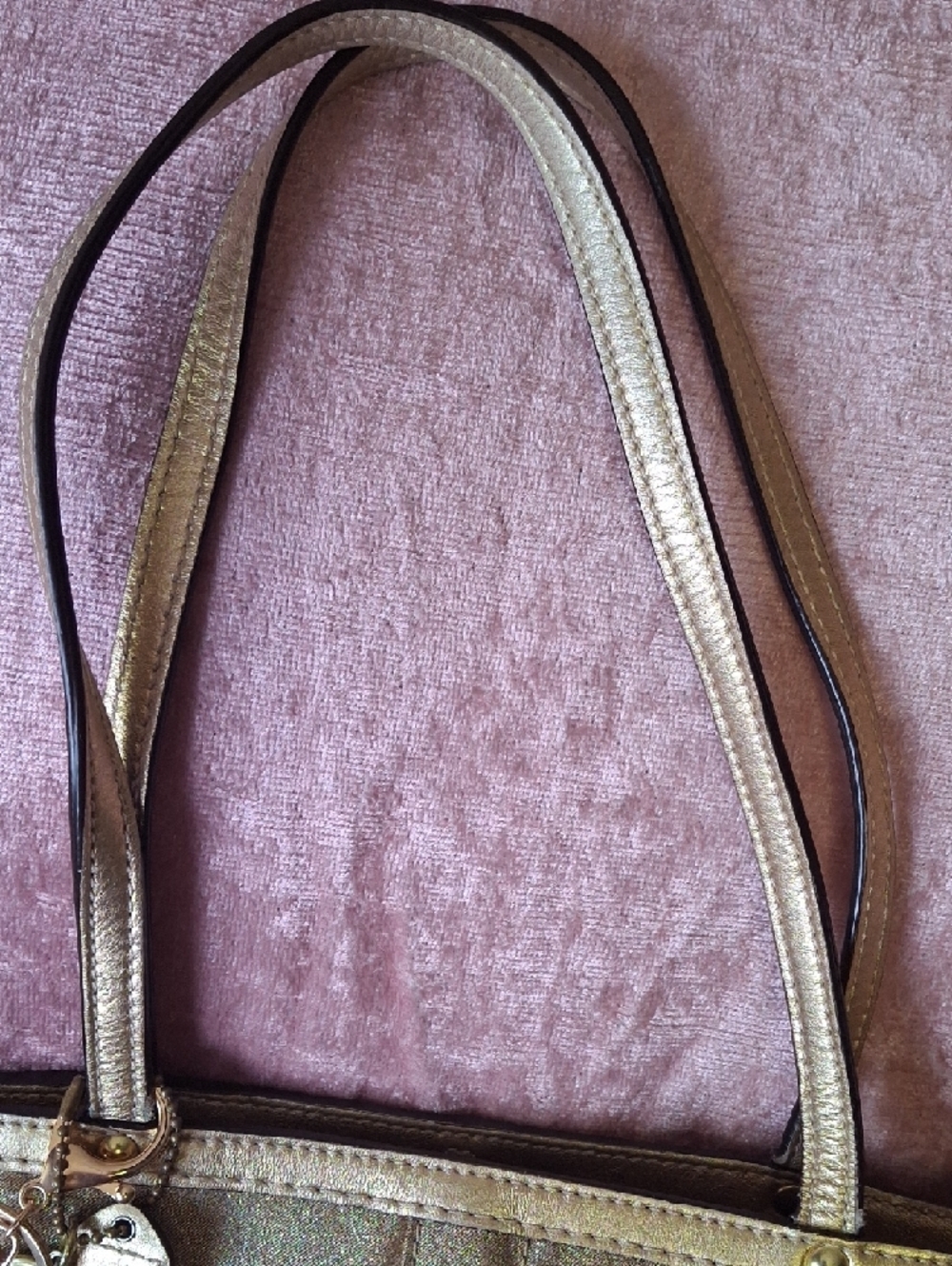 COACH LIMITED EDITON FLORAL Appliqué Tote 2008 - Picture 10 of 10